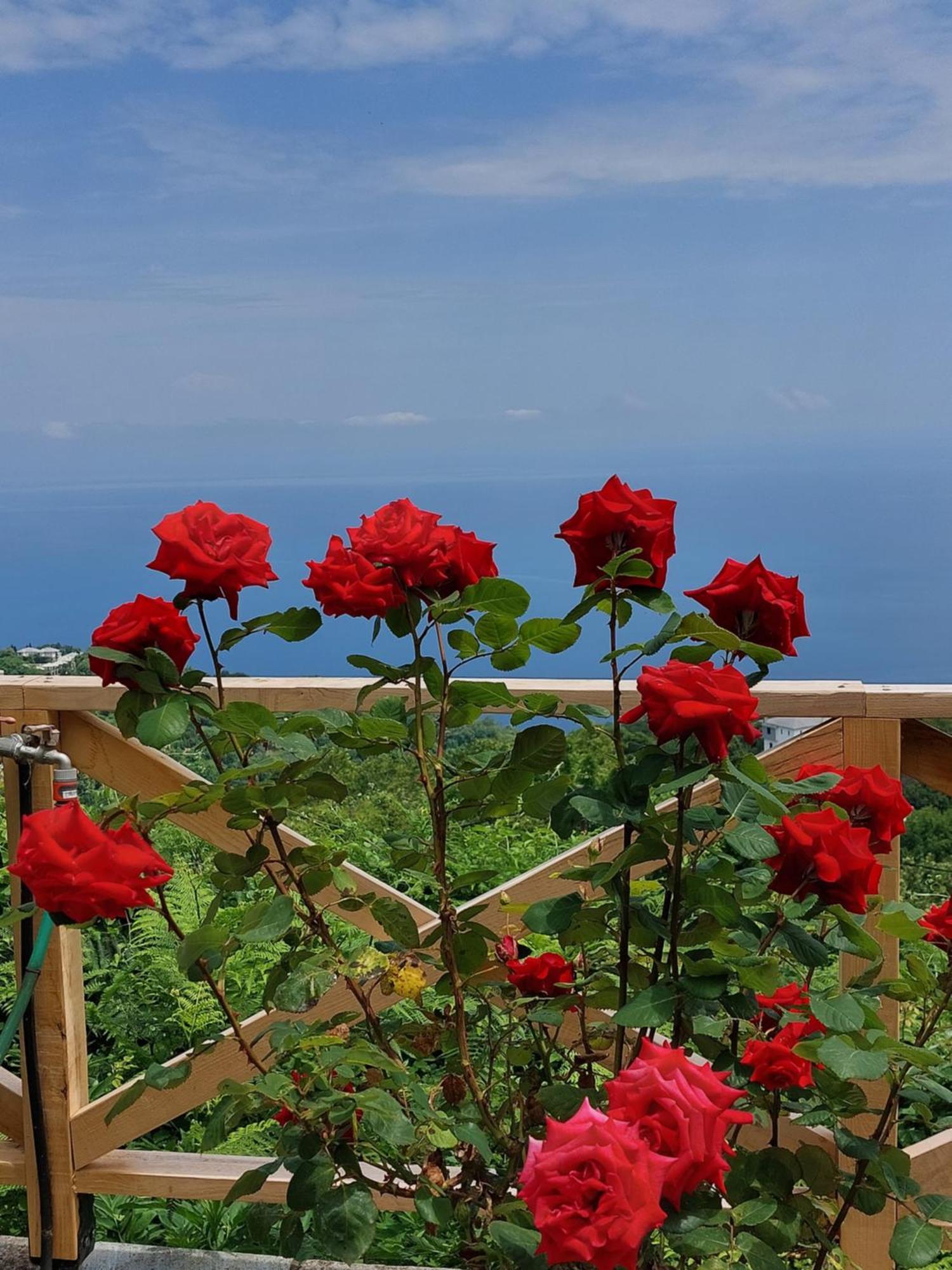 Θαλλώ Luxurious Villa Cangaráda Kültér fotó