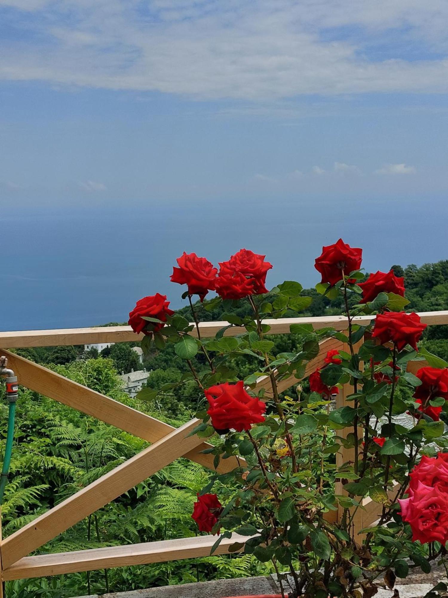 Θαλλώ Luxurious Villa Cangaráda Szoba fotó