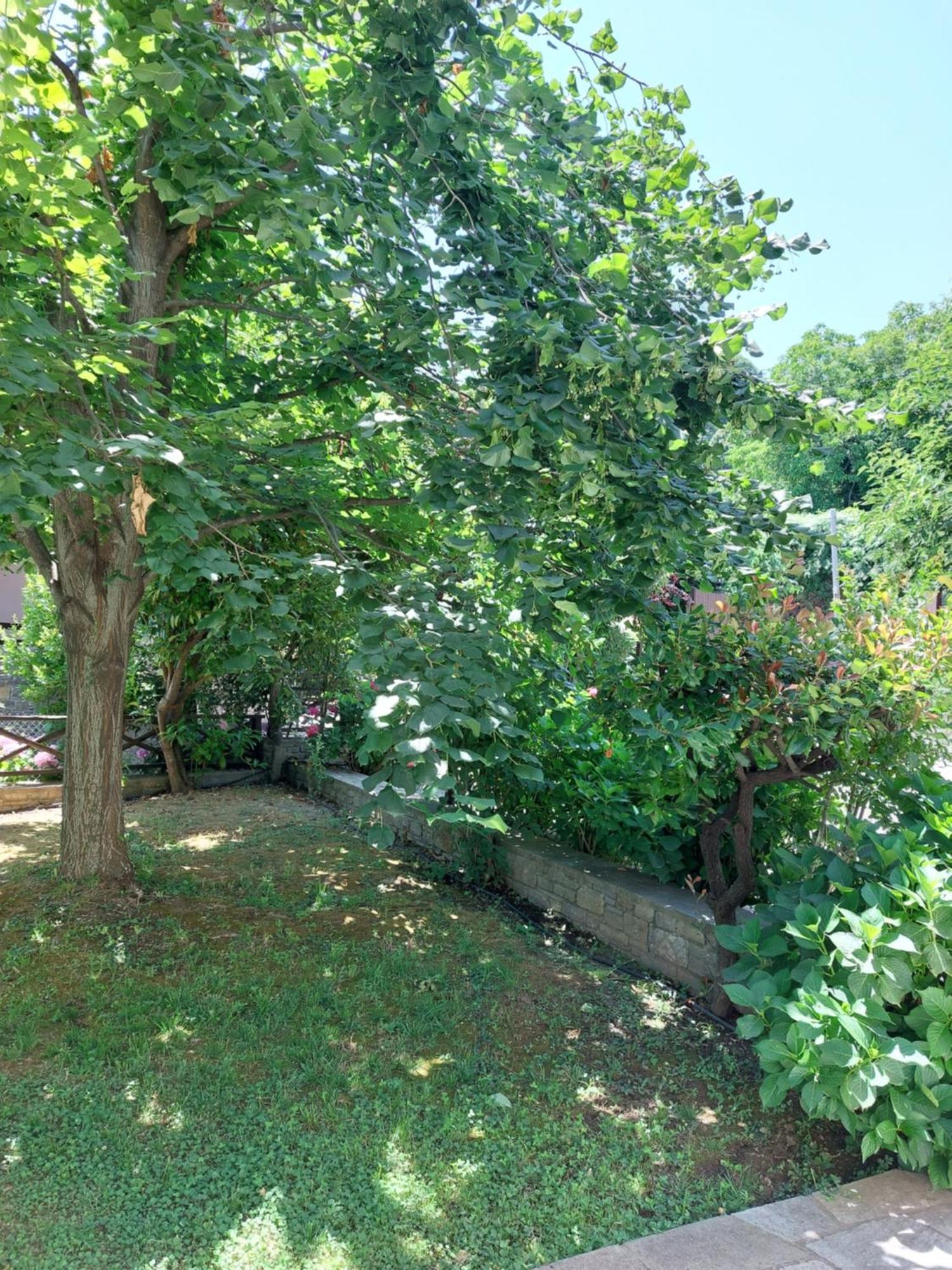 Θαλλώ Luxurious Villa Cangaráda Kültér fotó